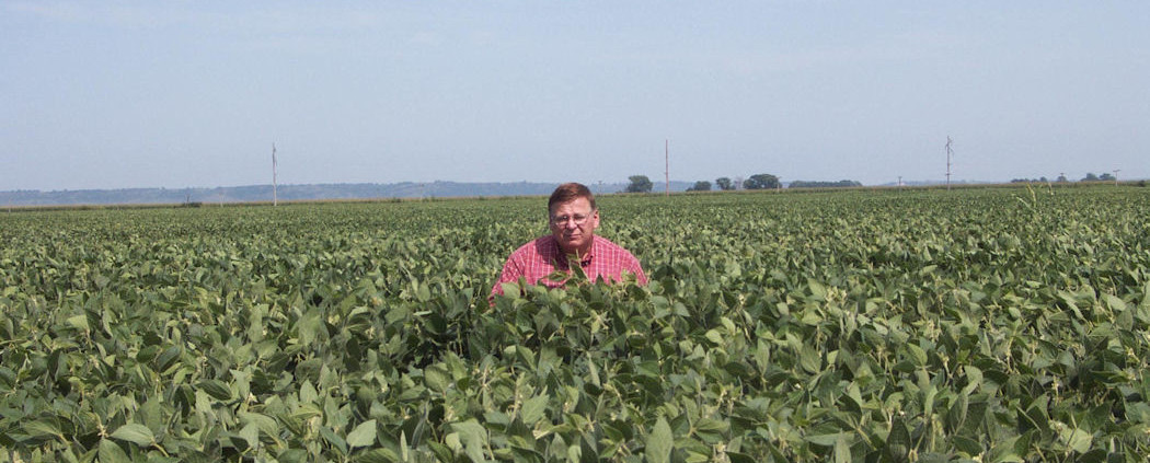 Salesman Gene standing in our soybean field. They yielded 100bu./A
