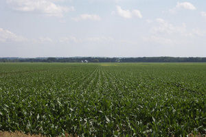 Nebraska City, Nebraska Crop Responses