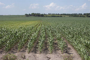 Nebraska City Nebraska Crop Responses